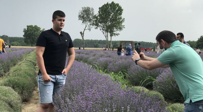 ‘Mor tarlalar’a büyük ilgi