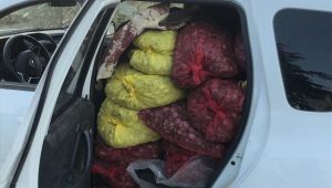 1 ton kaçak midye ele geçirildi