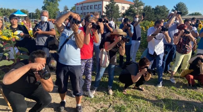 Fotoğraf tutkunları ayçiçeği tarlasında bir araya geldi