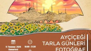 Fotoğrafçılar ayçiçeği tarlasında buluşacak