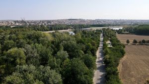 ‘Antik yol tescili önemli karar’