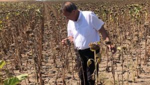 Çakırlar, ‘Kuraklığa dikkat edilmeli’