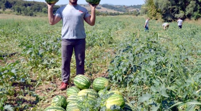 Genç güreşçi Kırkpınar'a tarlada hazırlanıyor