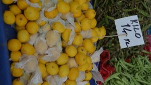 Pazarın zam rekortmeni limon