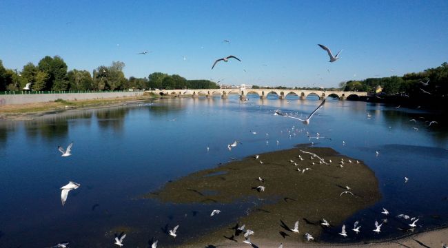 Adacıklar martılara ev sahipliği yapıyor