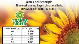Ayçiçeği fiyatı yerinde durmuyor