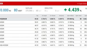 Ayçiçeğinde rekor fiyat