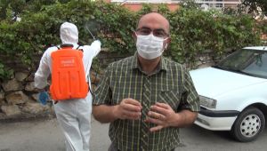 Dantel böceği ile mücadeleye devam