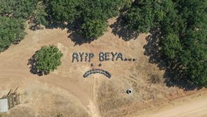 Mesire alanında çöpler için ‘Ayıp Beya’ denildi