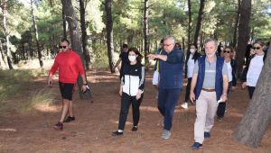 Milletvekili Aksal, proje alanını inceledi