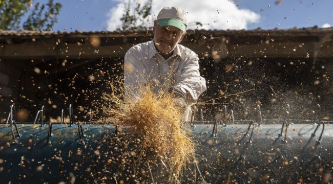 Toplanan otlar, usta ellerde süpürgeye dönüşüyor