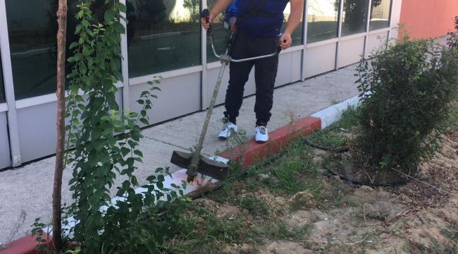 TÜkampüslerinde, peyzaj seferberliği