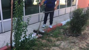 TÜkampüslerinde, peyzaj seferberliği