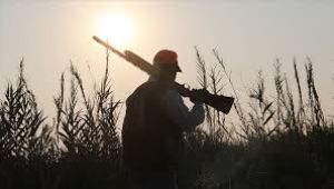 Belgesiz avlanan avcılara ceza yağdı