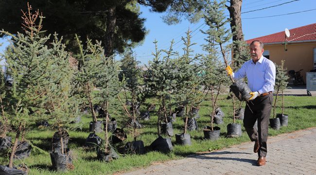 Edirne’nin fidanları Hatay’da yeşerecek