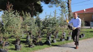 Edirne’nin fidanları Hatay’da yeşerecek