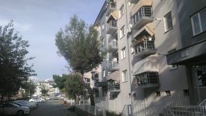 Korona ev kiralarını düşürdü