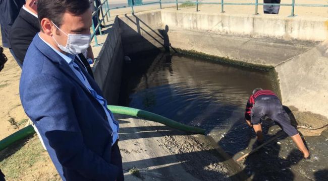 Sulama kanallarındaki balıklar doğal alanlarla buluşuyor