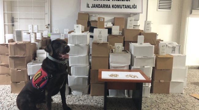 Yurtdışına giden otobüste uyuşturucu hap yakalandı