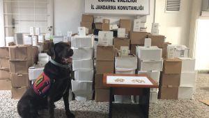 Yurtdışına giden otobüste uyuşturucu hap yakalandı