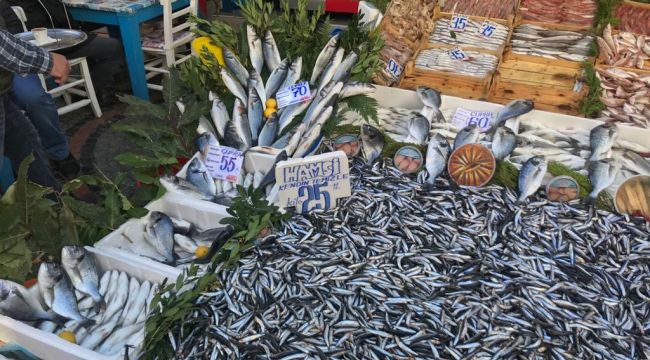 Hamsi 40 liradan 25 liraya düştü