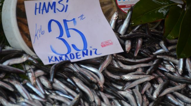 Hamsinin fiyatı tahterevalli gibi