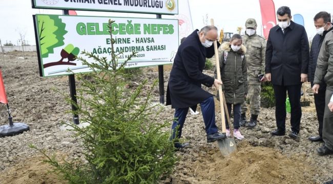 ‘İlimizde orman varlığını arttırıyoruz’