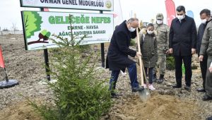 ‘İlimizde orman varlığını arttırıyoruz’