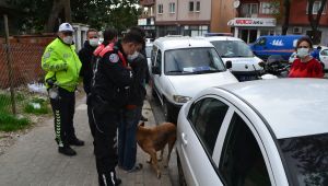 Kaçan hırsızlık şüphelisini köpeği ele verdi