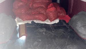 Midyesi kaçakçılığı yapan kişiye 100 bin lira ceza