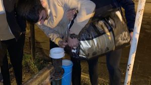 Saadet’li gençler sokak hayvanlarının yanında