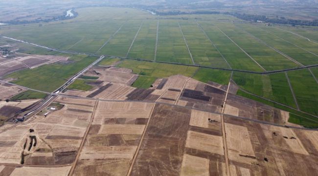Edirne’de 18 bin 259 hektar arazi toplulaştırıldı