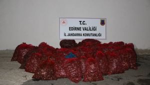 Kaçak 1 ton kum midyesine cezai işlem