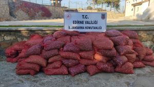 Kaçak toplanan 3 ton kum midyesi yakalandı