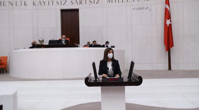 ‘Özelleştirmeyi eleştirenler milletten cevabını almıştır’