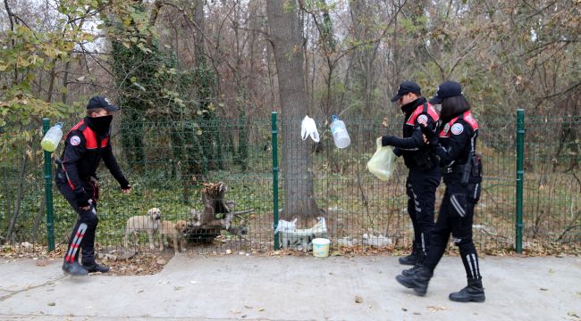 Polisler annesiz köpekleri sütle besledi