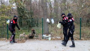 Polisler annesiz köpekleri sütle besledi