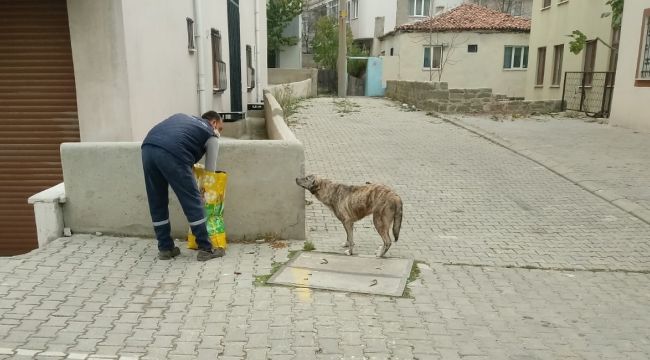 Sokağa çıkma kısıtlamasında sokak hayvanları unutulmadı