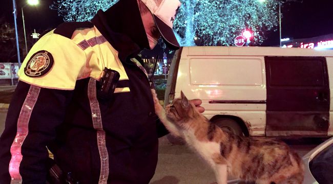 Sokak kedisi denetim yapan polis ekibine sığındı