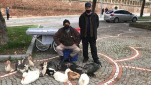 Yılbaşı hindilerinin tezgahtaki son günleri