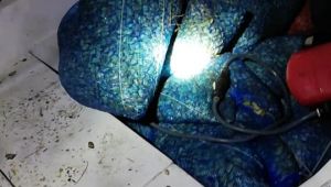 Edirne'de kaçak 1,5 ton kum midyesi yakalandı
