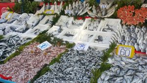 Hamsideki yasak ileri bir tarihe uzatıldı