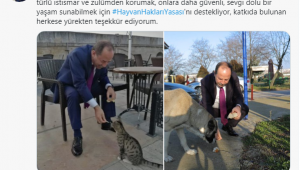 Hayvan haklarına Gürkan'dan destek