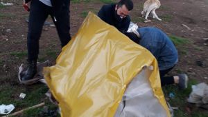 Öğrenciler sokak hayvanları için kulübe onardı