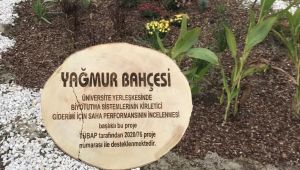 TÜ’ye yağmur bahçeleri kuruldu