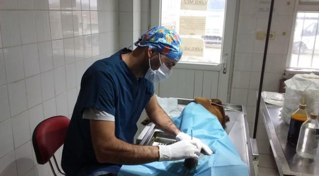“Çalışmalarımızı hayvanları koruma kanununa uygun şekilde yürütüyoruz”