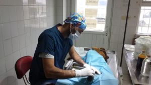 “Çalışmalarımızı hayvanları koruma kanununa uygun şekilde yürütüyoruz”