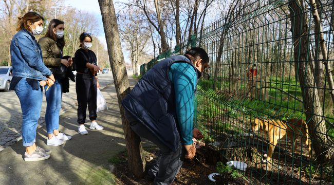 Üniversite öğrencileri yavru köpek için seferber oldu