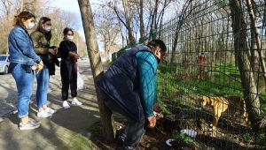 Üniversite öğrencileri yavru köpek için seferber oldu