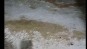 Edirne çevresinde dolu etkili oldu